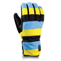 Winter-Ski Gloves